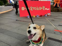 -SM城市广场(扬州店)