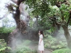 -Chom Cafe and Restaurant