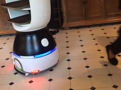 -新白鹿餐厅(城西银泰城店)