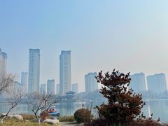 -桃花岛公园