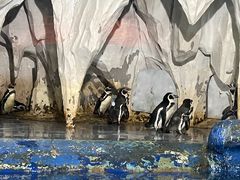 -太平洋海底世界