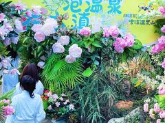 -七彩云南古滇温泉山庄