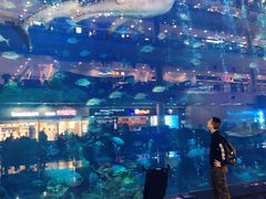 -成都浩海立方海洋公园