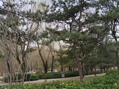 -元大都城垣遗址公园