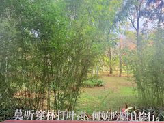 -云溪植物园