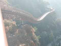 -少华山国家森林公园