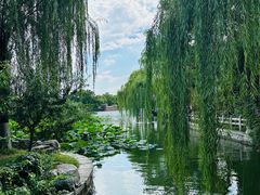 -济南大明湖景区