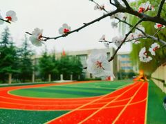 -吉的堡幼儿园(西安雅居乐铂琅峯园)