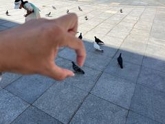 -那些年记忆烧烤