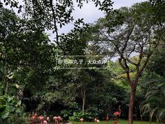 -深圳野生动物园