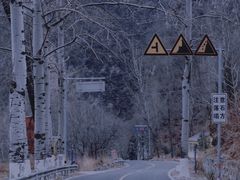 -白河湾生态旅游一条川
