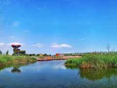 -芒洲湿地公园