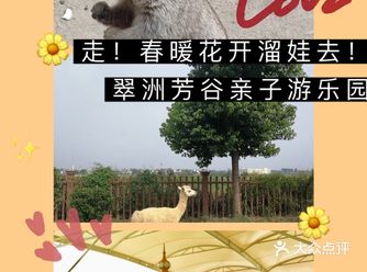 美丽小世界——翠洲芳谷