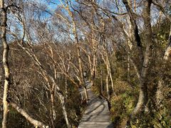 -白草畔自然风景区