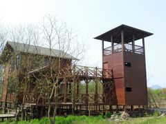 -会仙湿地