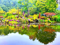 -杭州植物园