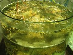 新海利(夏湾店)-新海利海鲜城·41年珠海老字号(夏湾店)