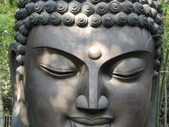 -杭州植物园