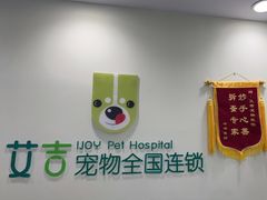 -艾吉宠物医院·疑难杂症转诊中心·猫友好(碧江路院)