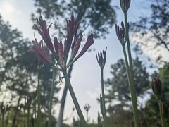 -白塘生态植物园