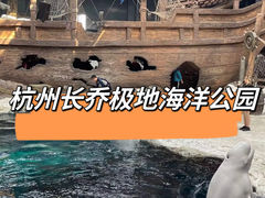 -杭州长乔极地海洋公园