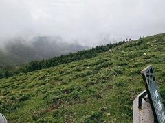 -芦芽山旅游度假区