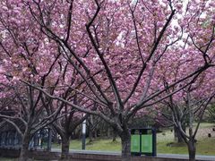 -苏州河梦清园环保主题公园