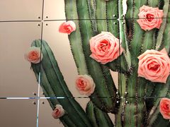 -创典居(槐安店)