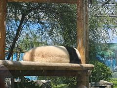 -鄂尔多斯野生动物园