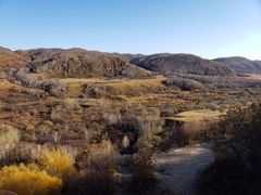 -塞罕坝国家级自然保护区