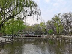 -玲珑塔公园