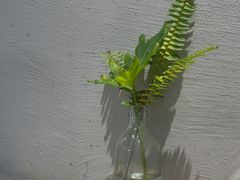 -Maxpoint Kitchen 西餐咖啡(乐峰广场店)
