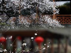 -上海海湾国家森林公园