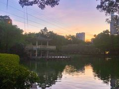 -晓港公园