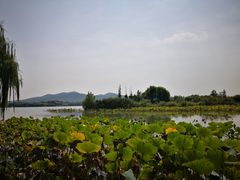 -云龙湖旅游景区