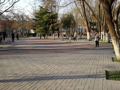 -和平区健康主题公园
