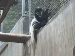 -合肥野生动物园