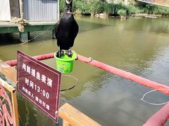 -东方巨龟苑景区