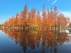 -三圣花乡旅游区