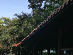 -赭山公园
