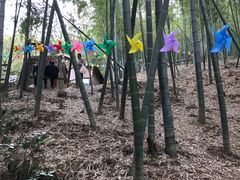 -宁波浙东大竹海景区