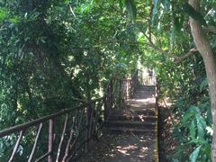 -海南热带雨林国家公园吊罗山景区