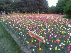 -长春公园(普阳街道)