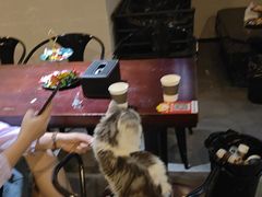 -Mr.Fox狐狸先生超级密室(南山店)