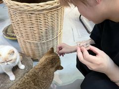 -Heymao猫咖.咖啡厅(东门店)
