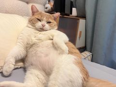-萌兽医馆·犬猫专科·眼科中心·宠物医院(朝阳门分院)