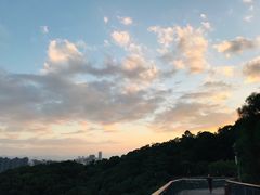 -金鸡山公园