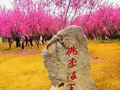 -无锡蠡湖国家湿地公园-蠡园
