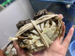 -阳澄湖大闸蟹·琼灵阁牌品牌连锁(吴中总店)