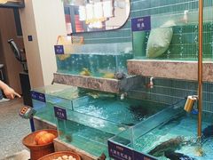 -鱼你相聚·河鲜馆(袁家岭店)